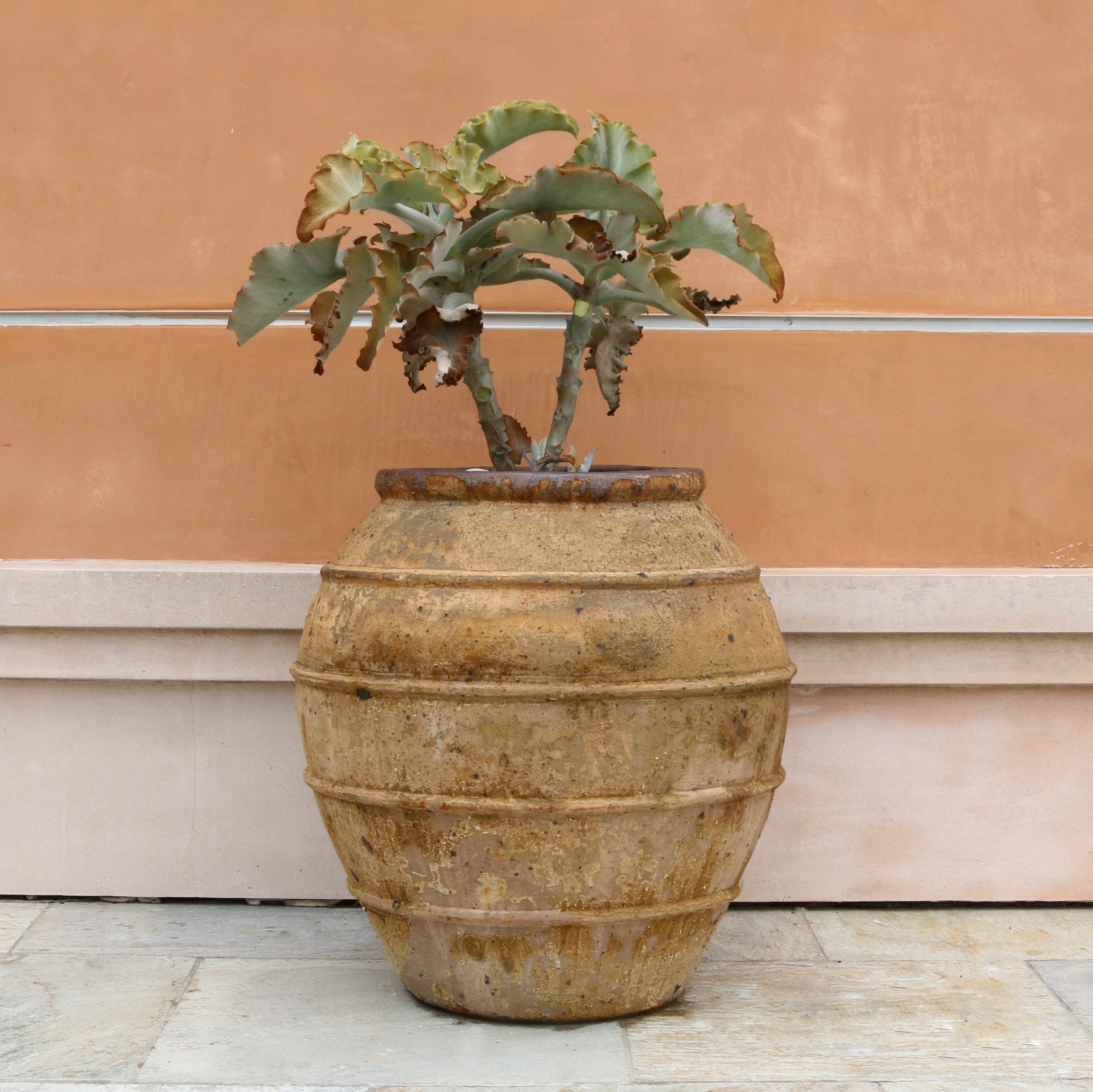 Vintage Pots – Page 5 – Pottery Collection