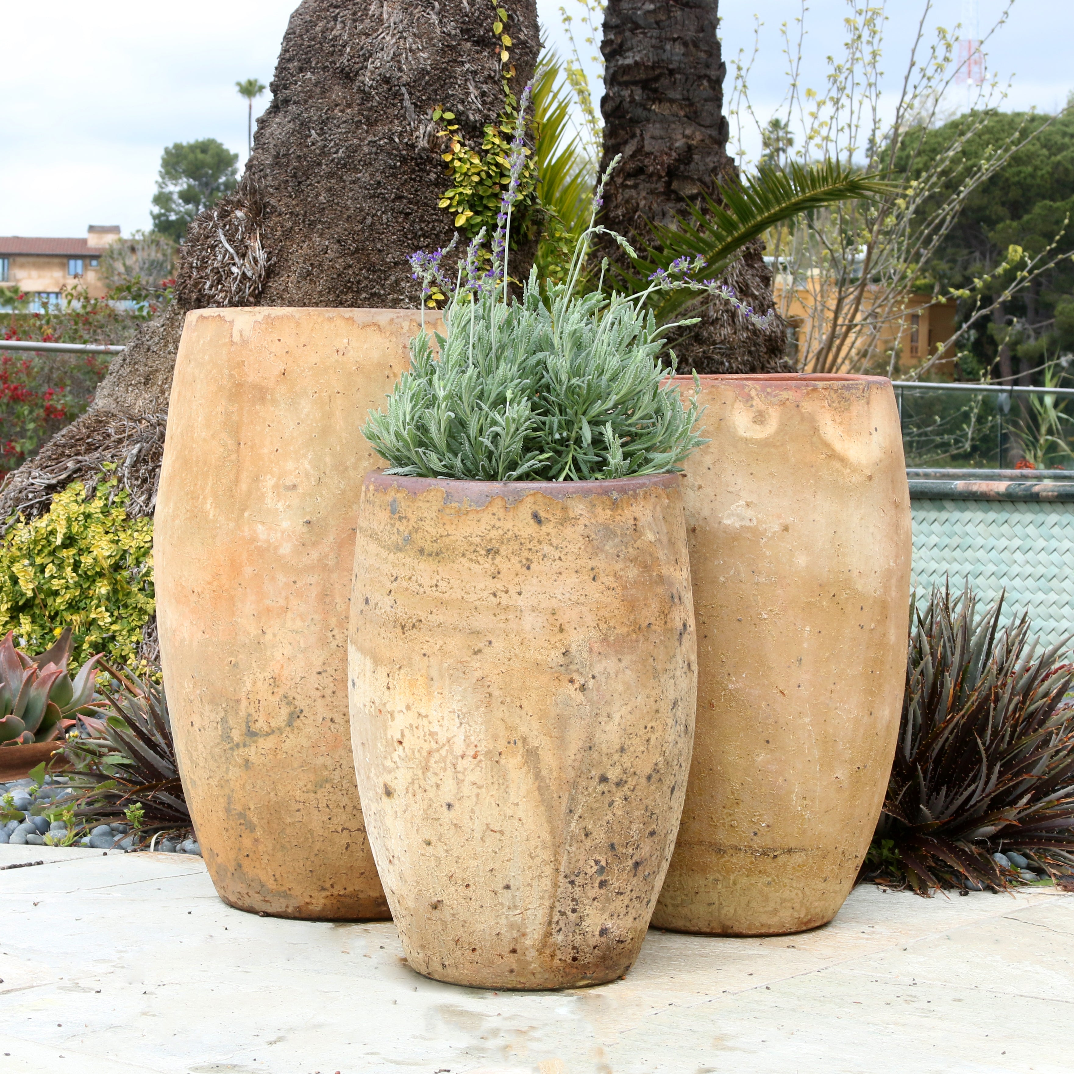 Vintage Pots – Pottery Collection